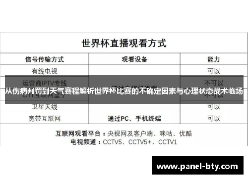 从伤病判罚到天气赛程解析世界杯比赛的不确定因素与心理状态战术临场